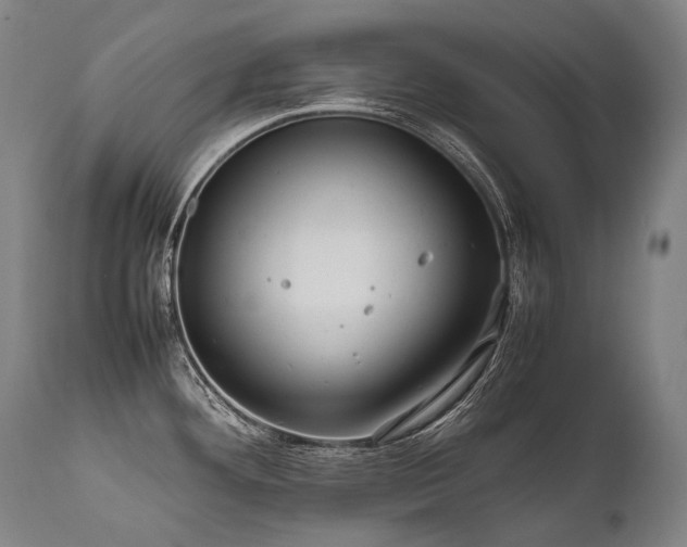 X0000111811292200907231225