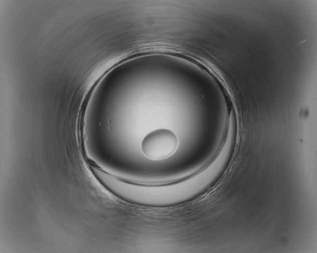 X0000111811293200907231225
