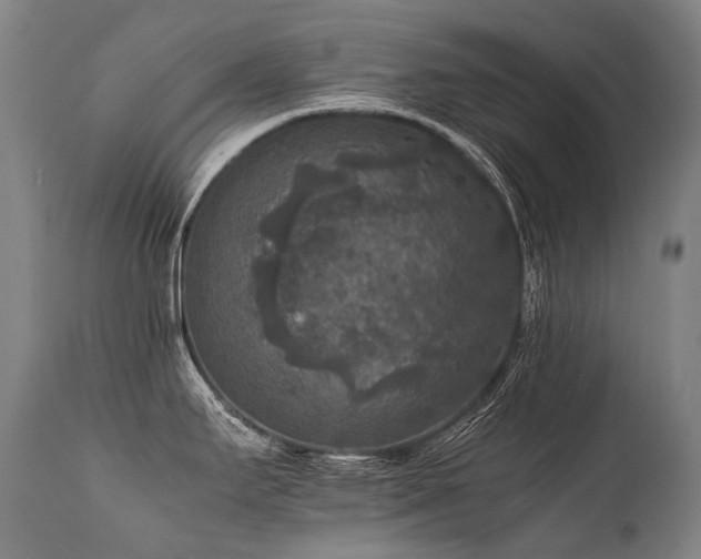 X0000111811295200907231225