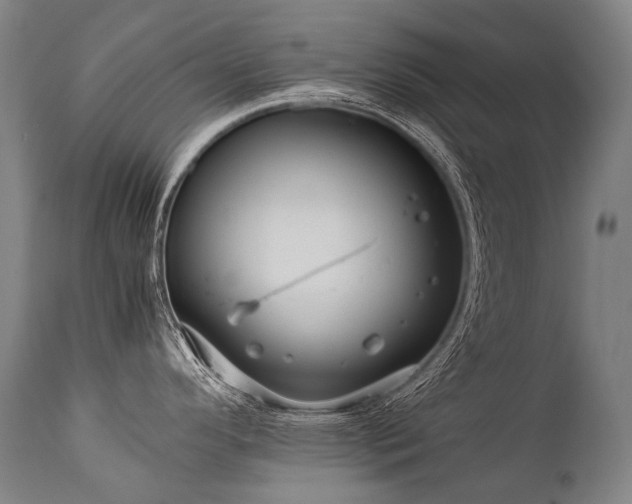 X0000111811296200907231225