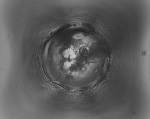 X0000111811297200907231224