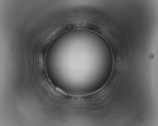 X0000111811298200907231224
