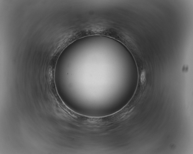 X0000111811299200907231224
