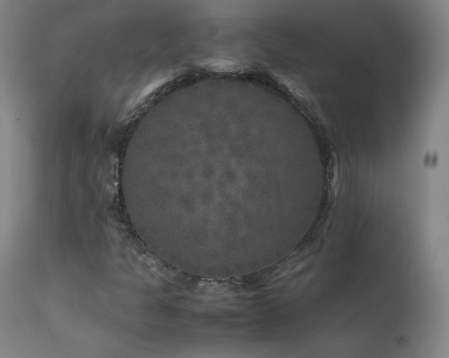 X0000111811301200907231224