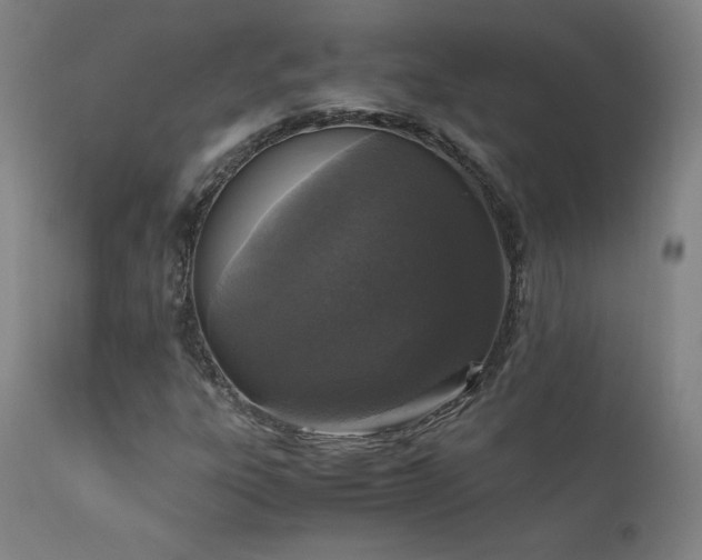 X0000111811303200907231224