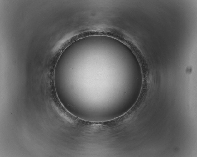 X0000111811304200907231224