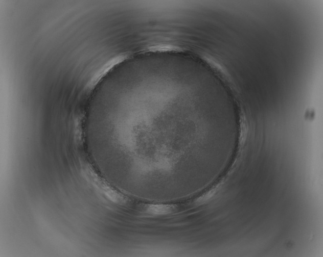 X0000111811305200907231224