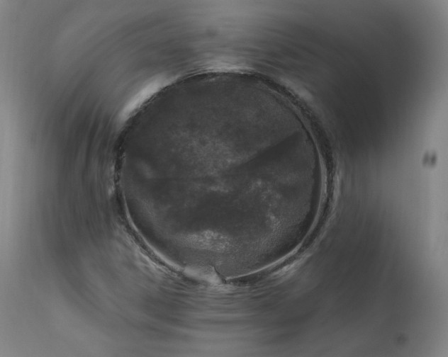 X0000111811306200907231224