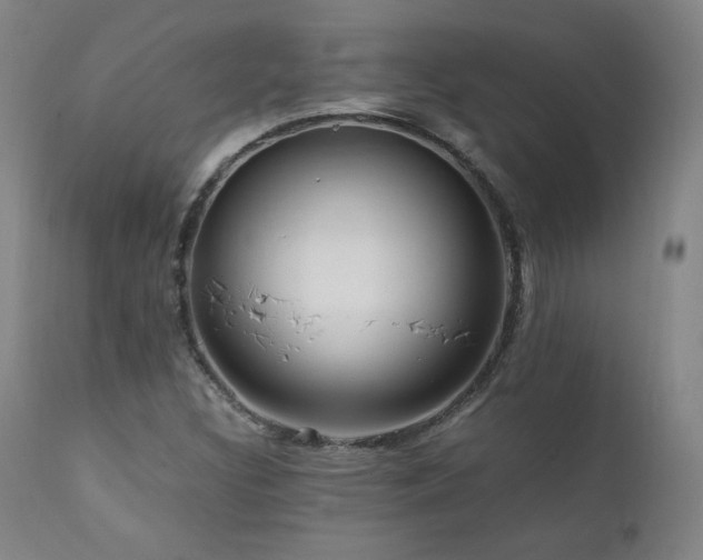 X0000111811308200907231224