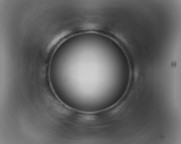 X0000111811309200907231224