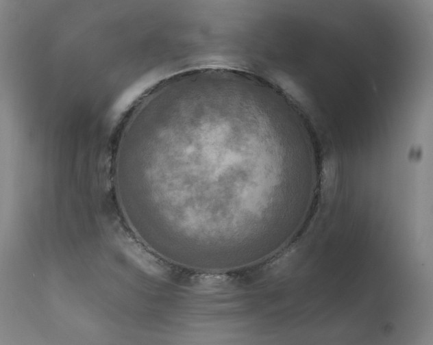 X0000111811310200907231224