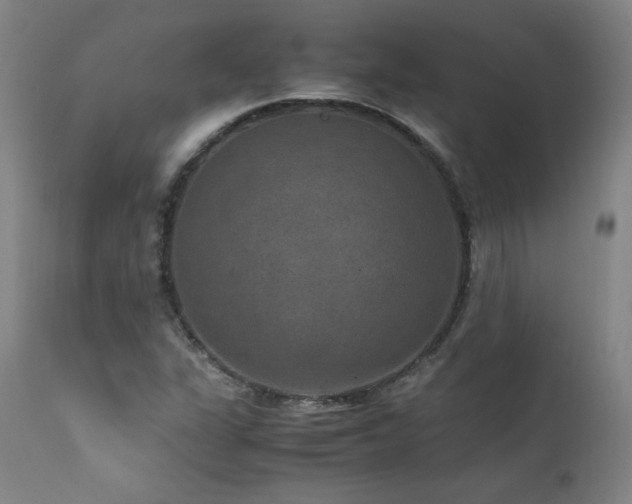X0000111811311200907231224