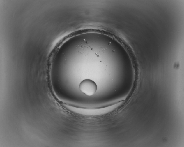 X0000111811312200907231224