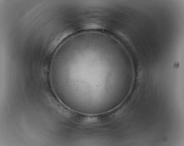 X0000111811313200907231225