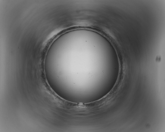 X0000111811315200907231225