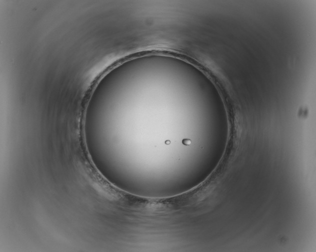 X0000111811316200907231225