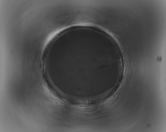 X0000111811319200907231225