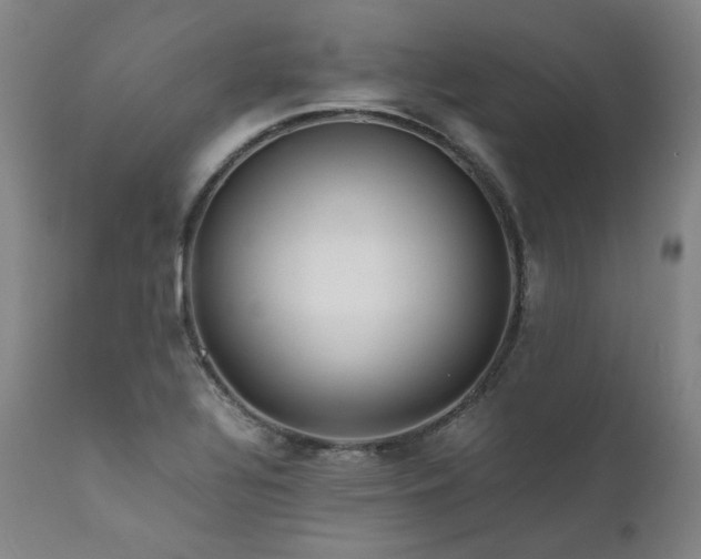 X0000111811320200907231225