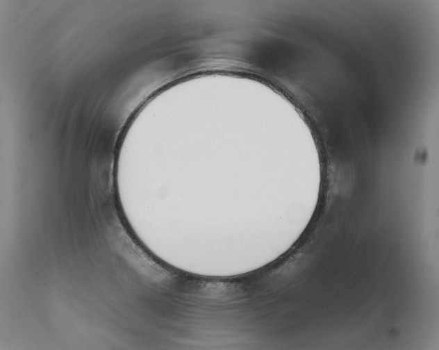 X0000111811322200907231225
