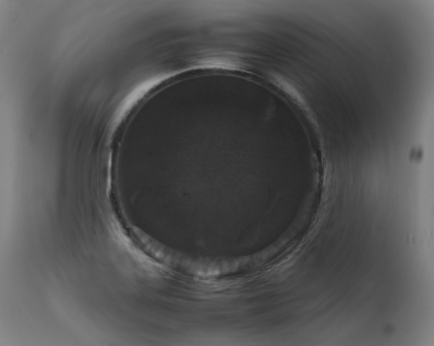 X0000111811323200907231225