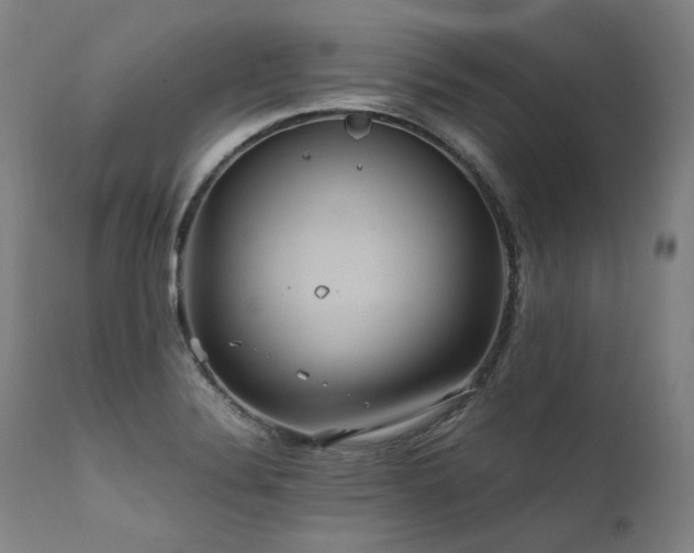 X0000111811324200907231225