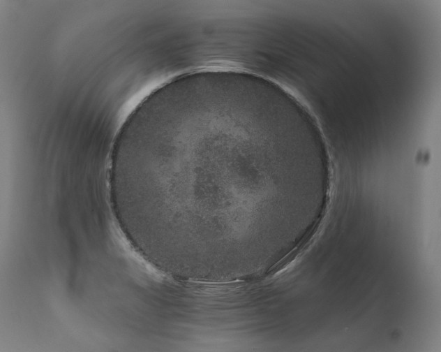 X0000111811325200907231225