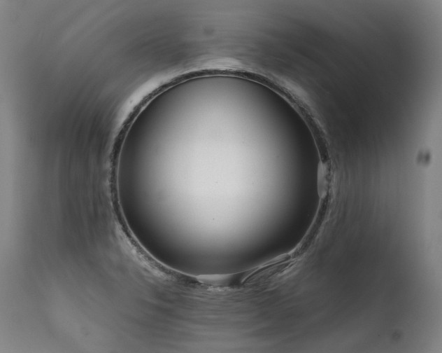 X0000111811326200907231225