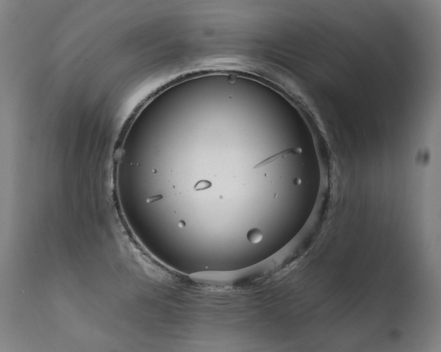X0000111811328200907231225