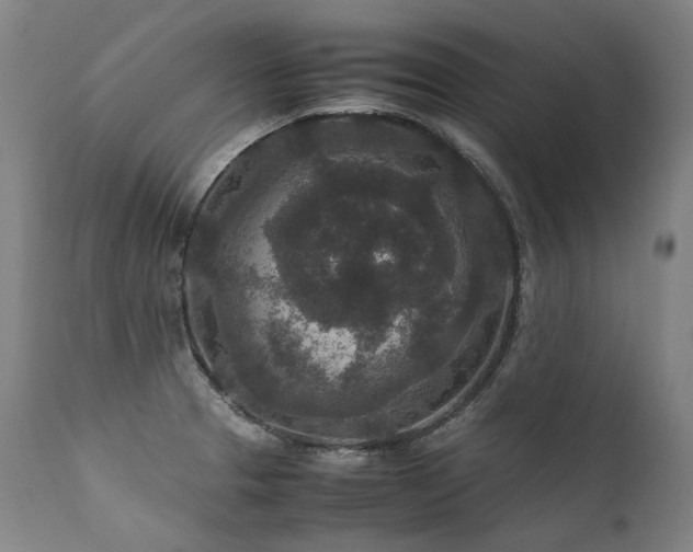 X0000111811329200907231225