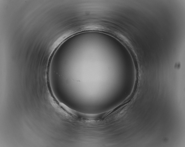 X0000111811330200907231225