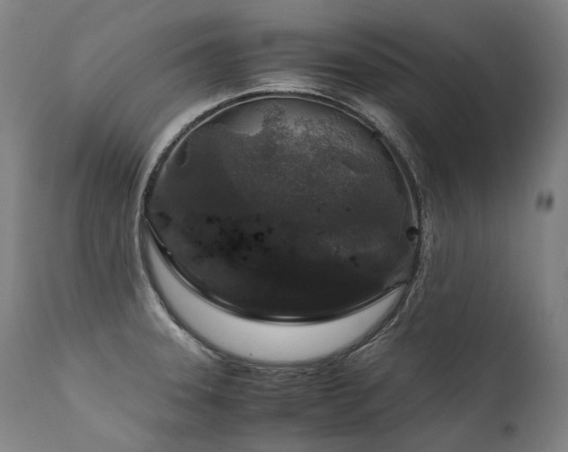 X0000111811331200907231225