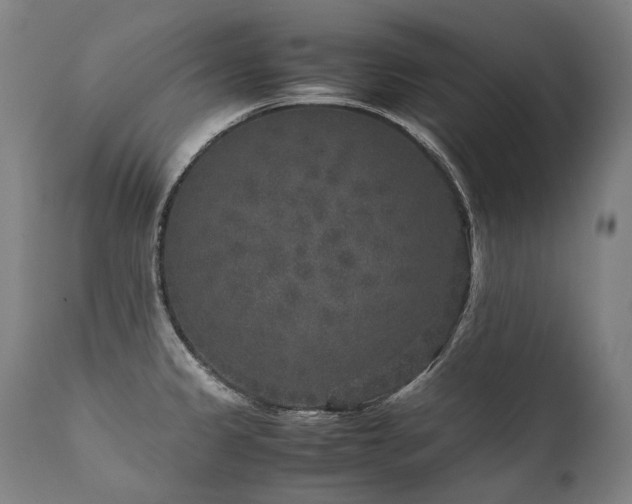 X0000111811333200907231225