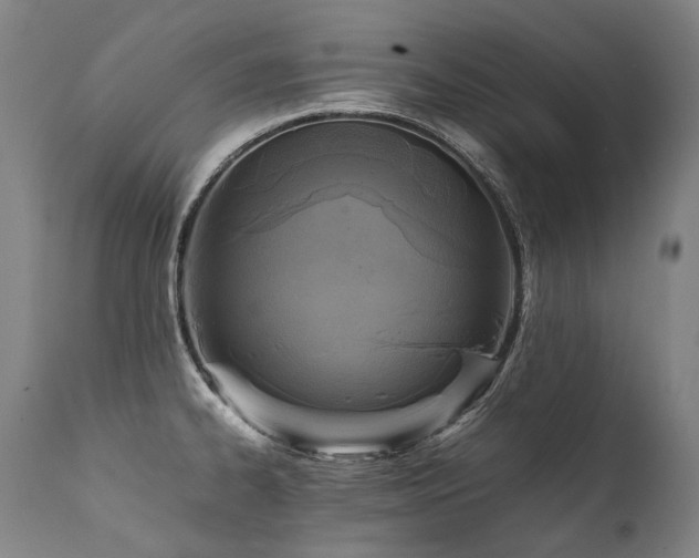 X0000111811334200907231225