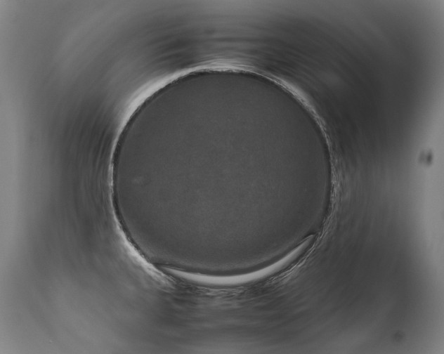 X0000111811335200907231225