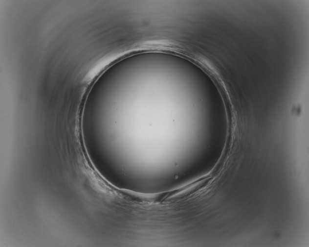 X0000111811336200907231225