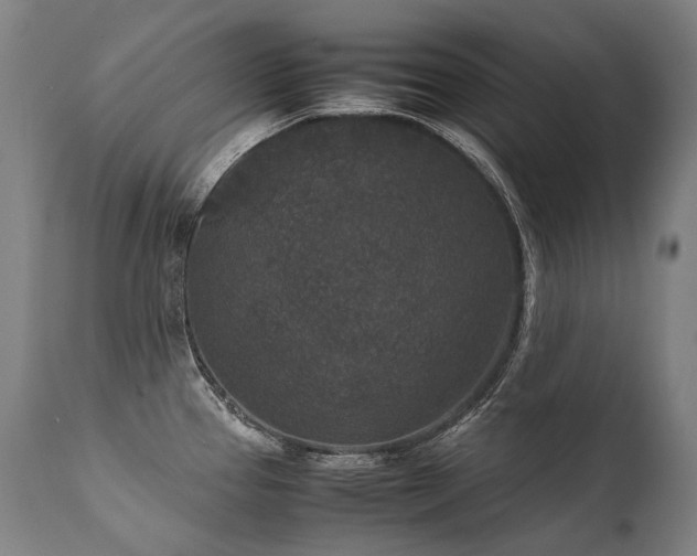 X0000111811337200907231225