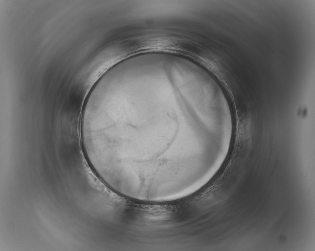 X0000111811338200907231225