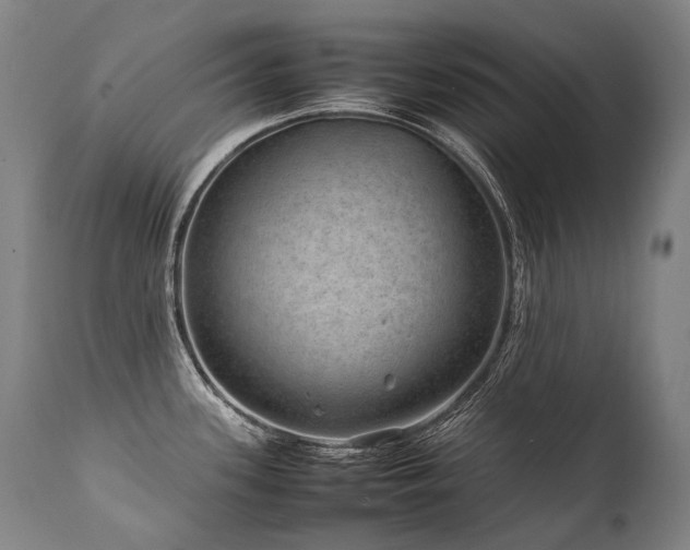X0000111811339200907231225