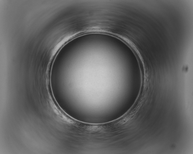 X0000111811341200907231225