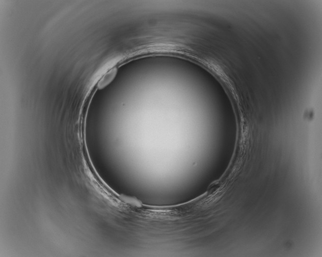 X0000111811342200907231225