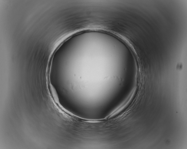 X0000111811343200907231225