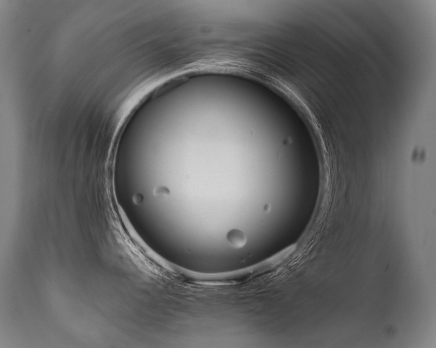 X0000111811344200907231225