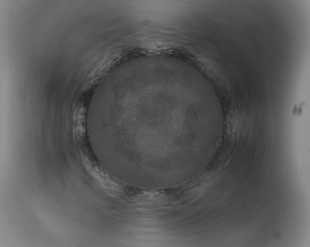 X0000111811346200907231224