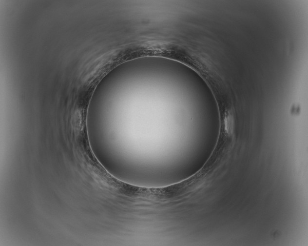 X0000111811347200907231224