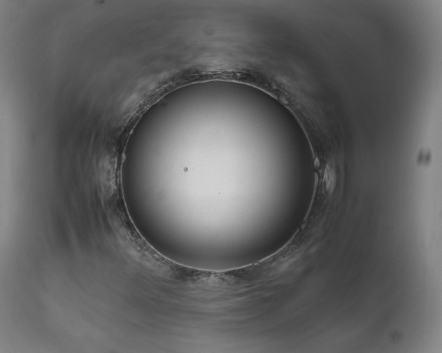 X0000111811348200907231224