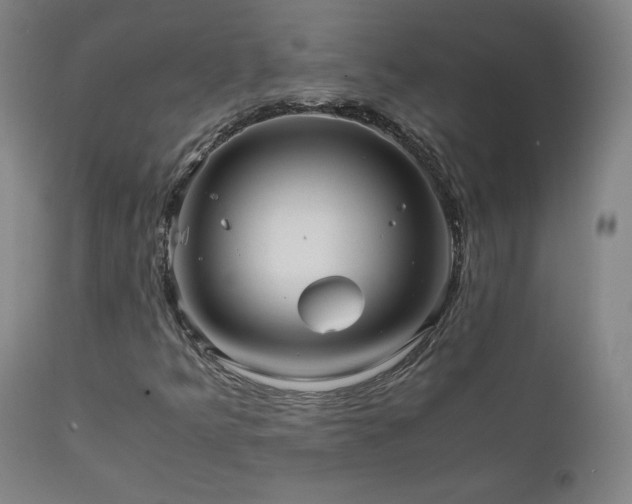 X0000111811349200907231224