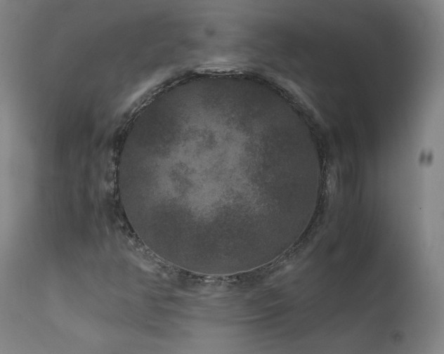 X0000111811350200907231224