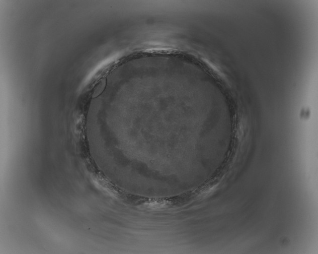 X0000111811351200907231224