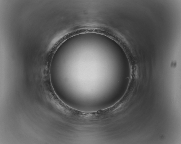 X0000111811352200907231224