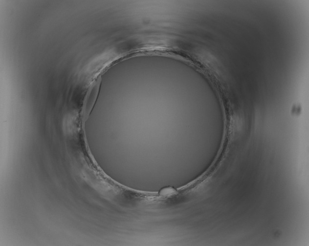 X0000111811353200907231224